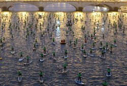 78762200 2549762565132435 1412222621730209792 o