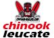 chinook 80x56